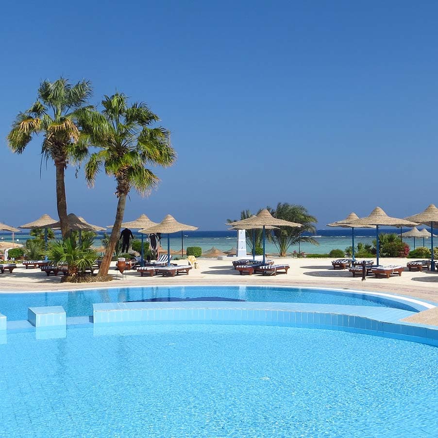 View of a swimming pool with palm trees next to the ocean